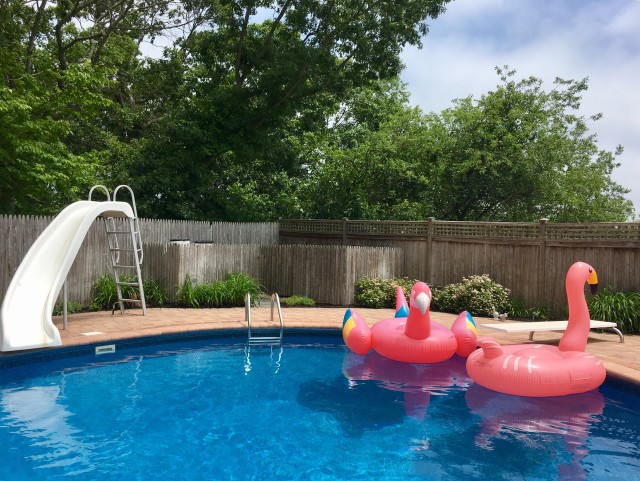Pool-Slide--in-Overton-Nevada-pool-slide-overton-nevada.jpg-image